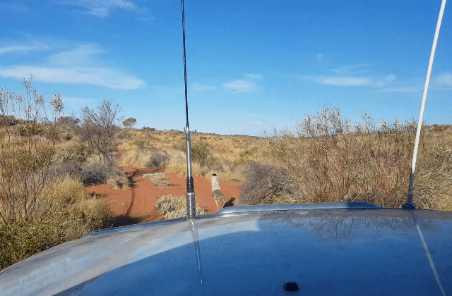 FB9AEF70-180B-4298-9D76-127E134D97DD