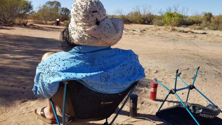 33BD4F69-AAB6-47E6-9200-3B89A0ED8F7D