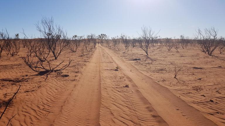 39C98752-2452-4E16-9518-7AF2F82BEC8B