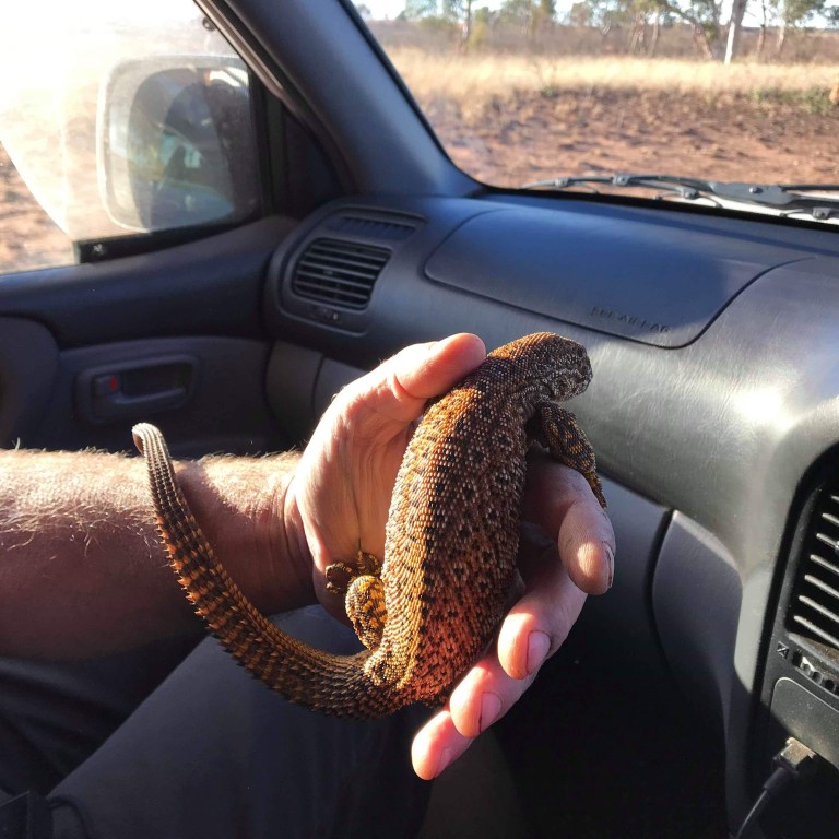 48E0E953-34AB-4E18-BBA0-E38EC9E3EB1F