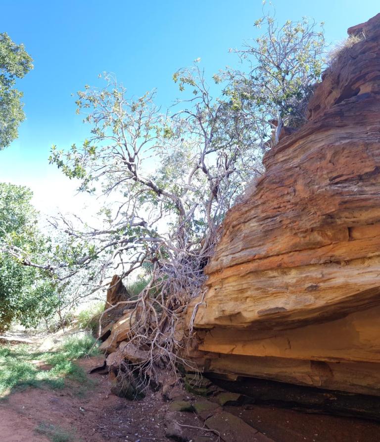 322A2FEA-8618-4462-B636-1158D6208874