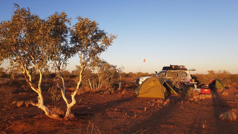 594FC8DB-56AE-4EA1-AC1F-C3FADA3165E6