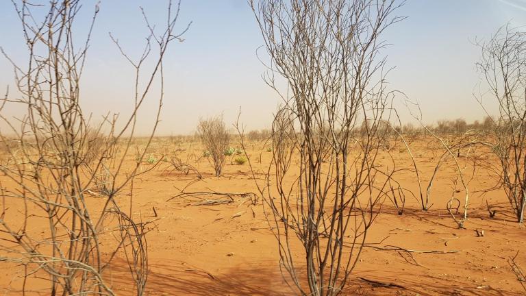 6C010E2D-EA5B-404D-8745-F7AD0C87411E