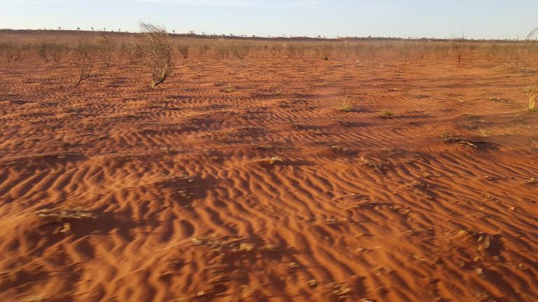 B5FB0988-B271-450A-A7E3-49B41B1F8734