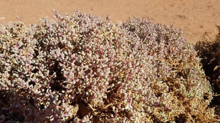 C8E0047C-AEF7-405E-A136-23DF49AE0734