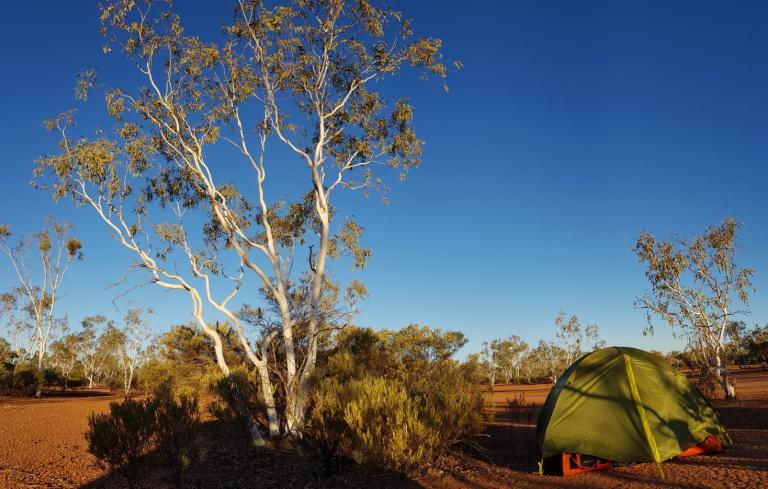 D9791287-2FE2-455A-9A17-1E44E914D5C9