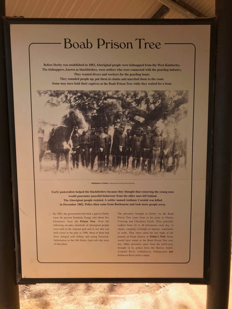 8FFA36D1-F204-4AC5-8BB1-11744E9F57EC