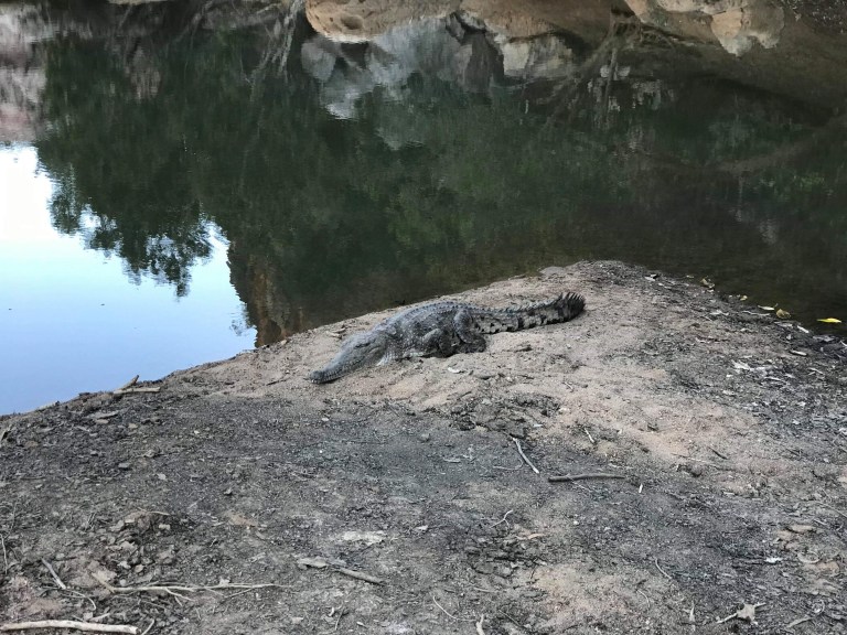 C96C0539-81FA-4323-A083-667B43B32BAB