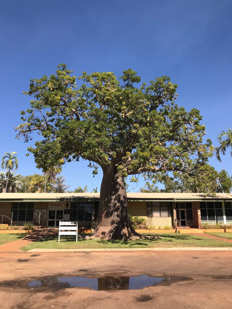 CB2C66C5-F77C-4EBB-B51E-F93A213EAFBB