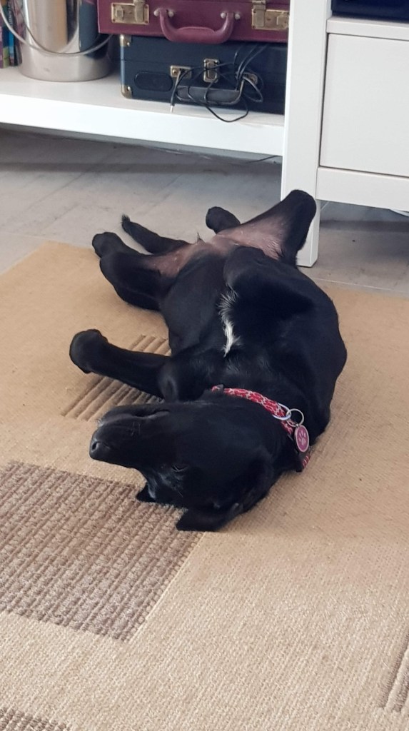 01BEC238-B00F-4374-9FC2-532CABE06C15