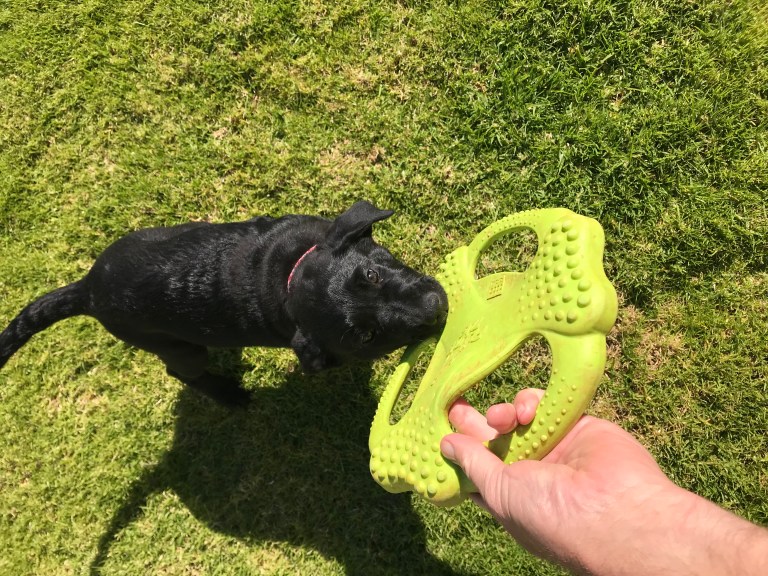 411915F2-D7A9-4A22-A3F1-0C19B53FFB51