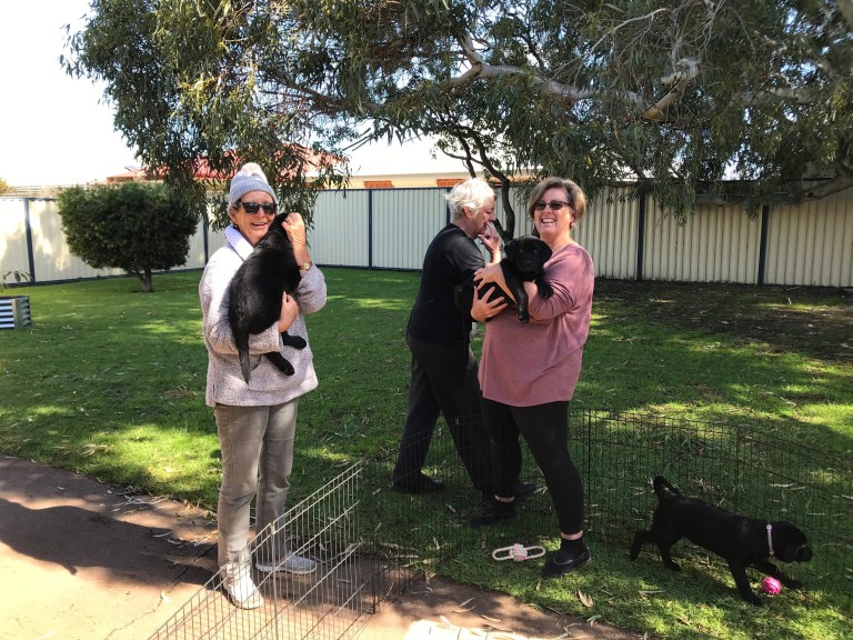 5E53E80D-50F1-4EE9-BFFA-8DEE4FAC67A8