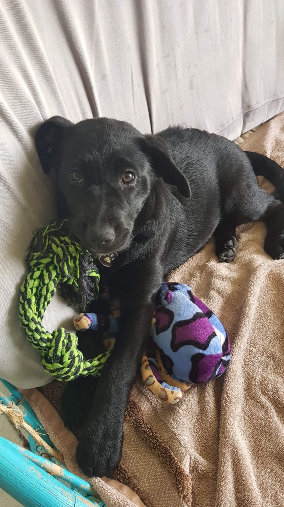 A00F3173-5E96-4613-871E-2DE99AC50E1C