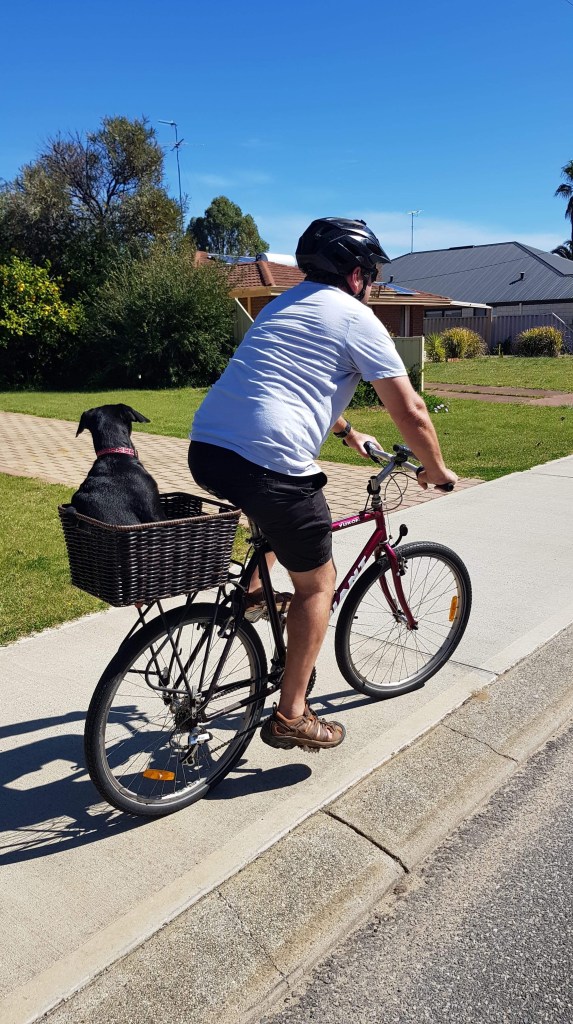 FB7FDFFD-406F-47BF-9C2F-C9DF661A427A