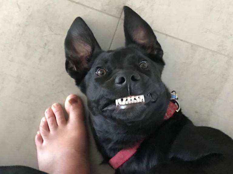 received_562423484538595